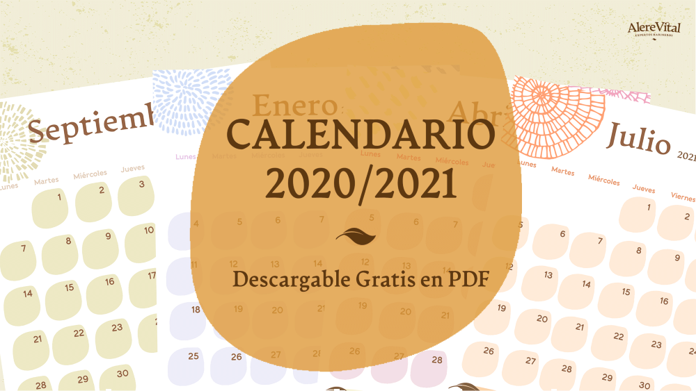 calendario_2020_2021_descragable_gratis_pdf