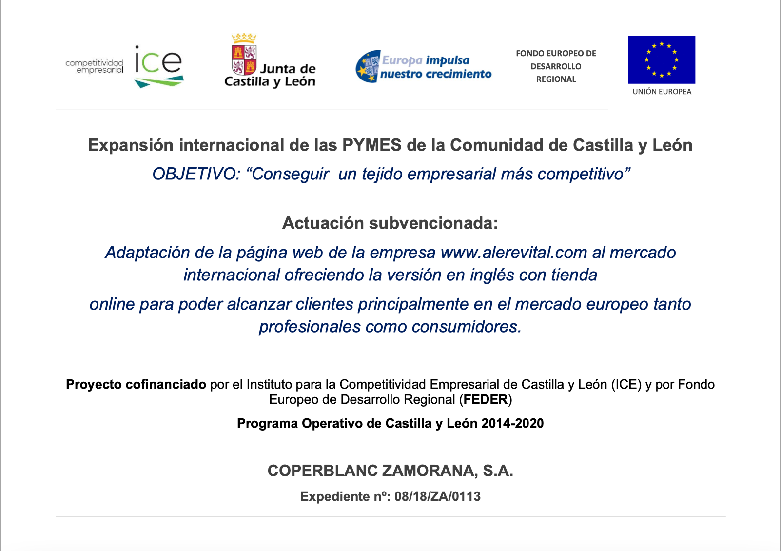Expansión internacional de las PYMES de la Comunidad de Castilla y León
